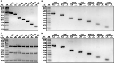 A Heptaplex PCR Assay for Molecular Traceability of Species Origin With High Efficiency and Practicality in Both Raw and Heat Processing Meat Materials